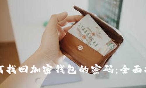 如何找回加密钱包的密码：全面指南